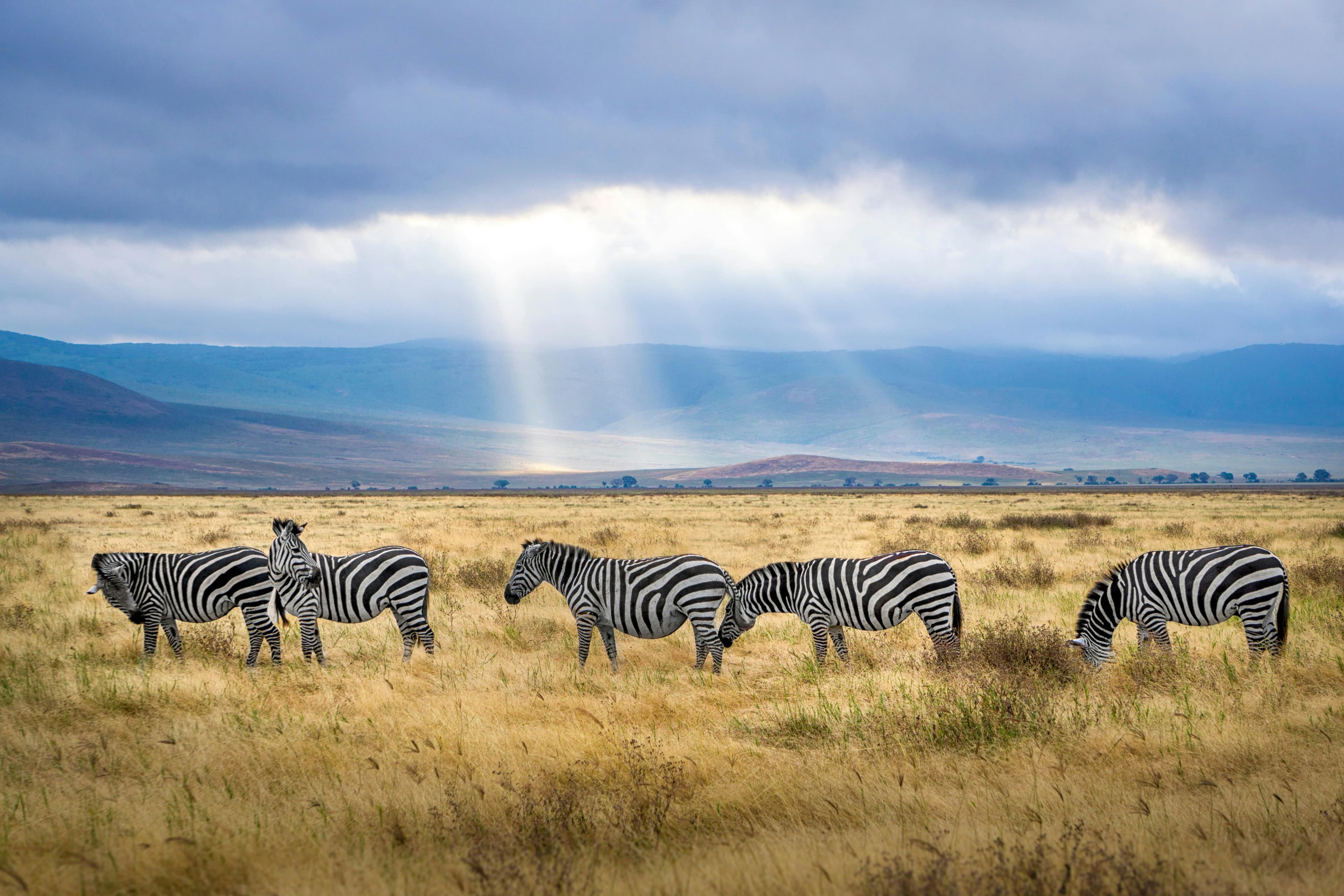 Best time to visit Tanzania - shoulder season travel guide